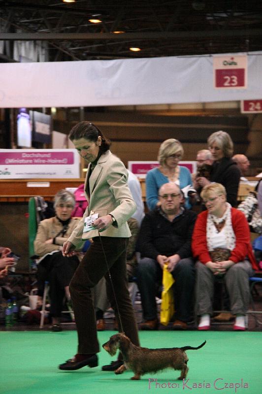 Crufts2011_2 1347.jpg